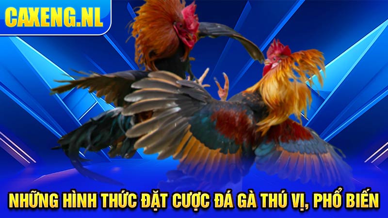 Những hình thức đặt cược đá gà thú vị, phổ biến